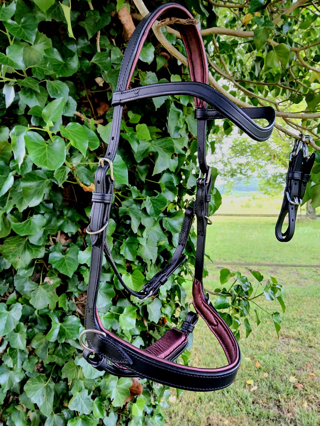 Bridon combiné sur mesure, side pull et mors